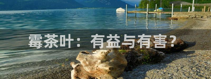 摩登6月7O667