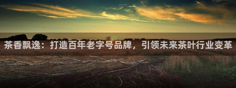 摩登7平台代理