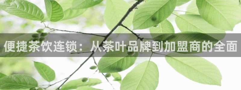 摩登7测速