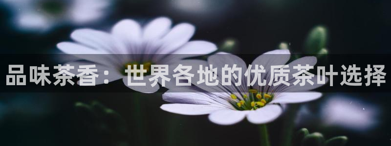 摩登7平台招商
