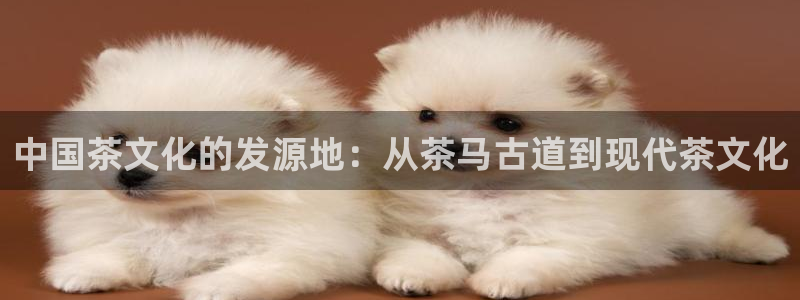 摩登3周这7O667