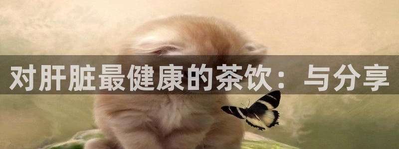 摩登3后7O667