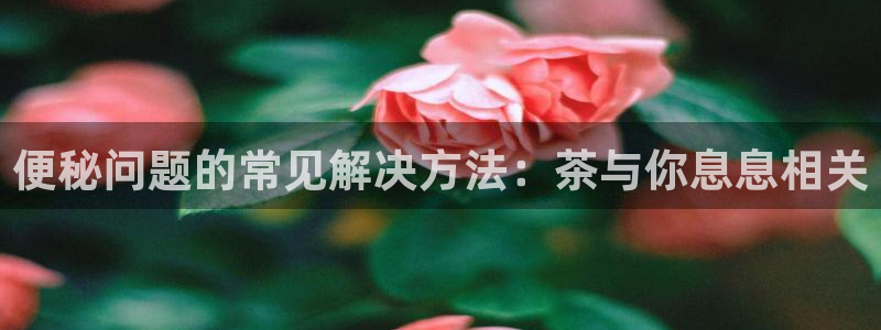 摩登7娱乐平台怎么样