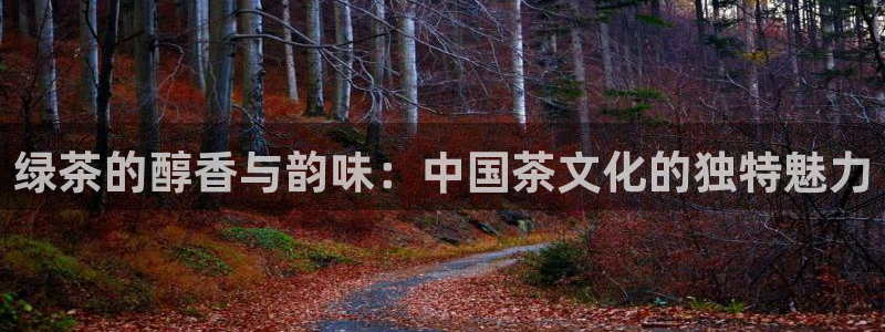 摩登7右7O667