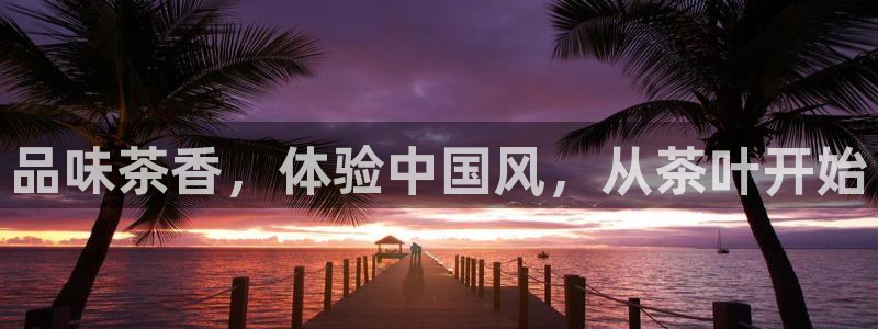 摩登7直属招商