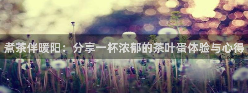 摩登7招商排名