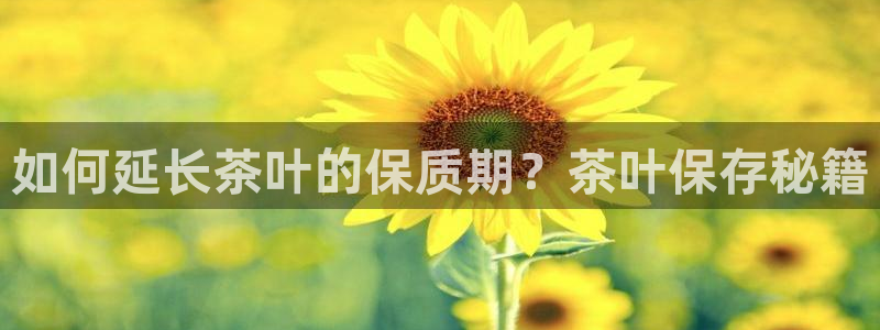 摩登精品7口碑极限
