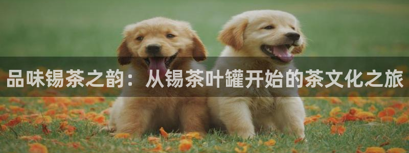 摩登7挂机