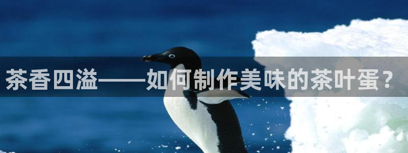 摩登口碑7
