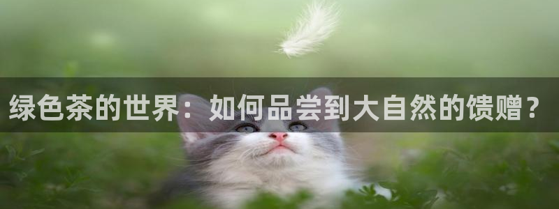 摩登7招商议333OO
