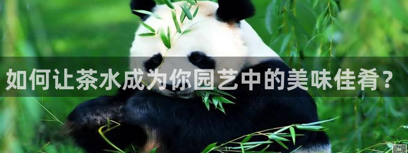 摩登系列摩登7