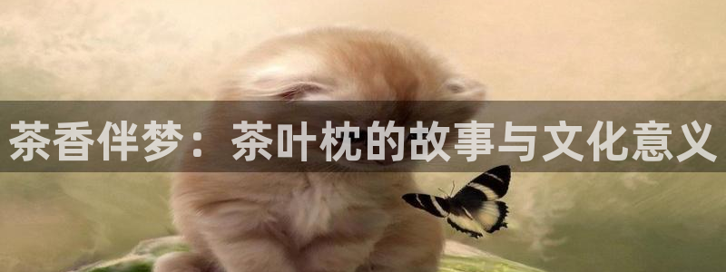 摩登7网站排名