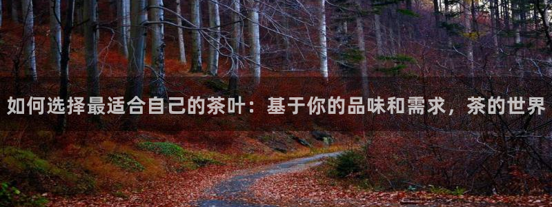 M摩登7