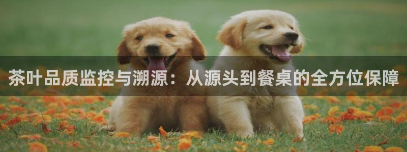 摩登6上7O667