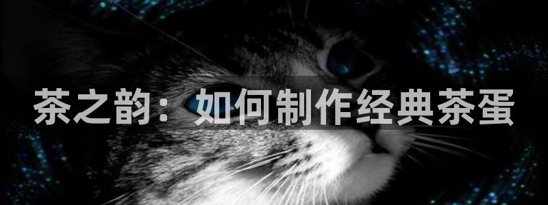 摩登4右7O667