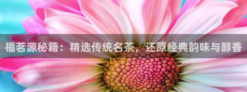 摩登7直属