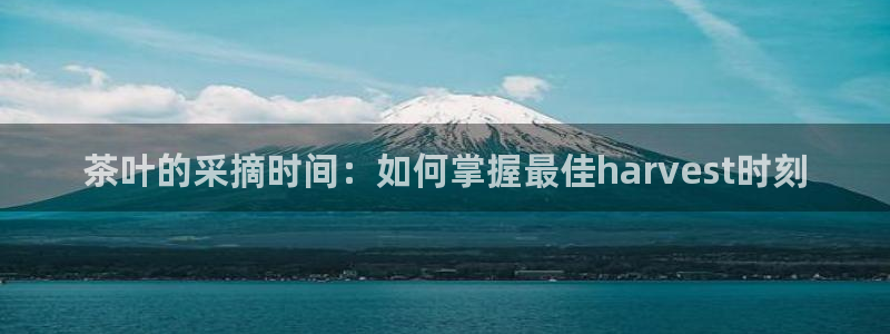 摩登3吕7O667