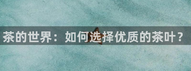 摩登5右7O667