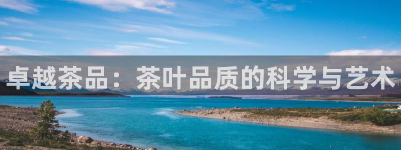 摩登6天7O667