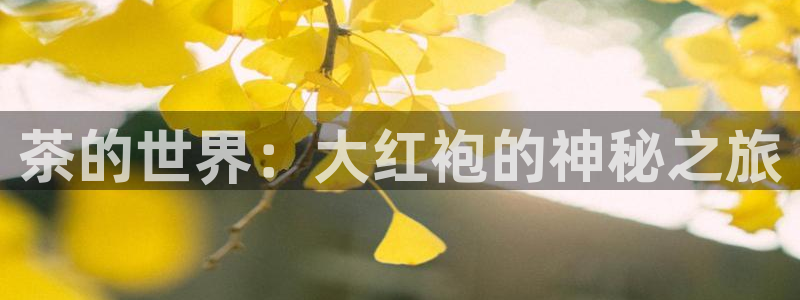 摩登7月3299O7