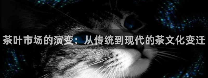 摩登平台除7O777