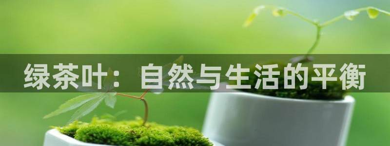 摩登7日7O667