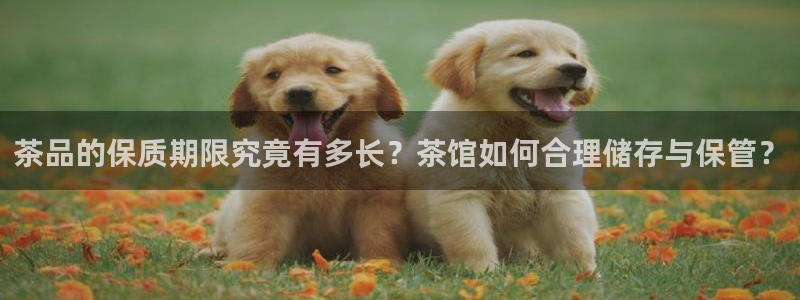 摩登5吕7O667
