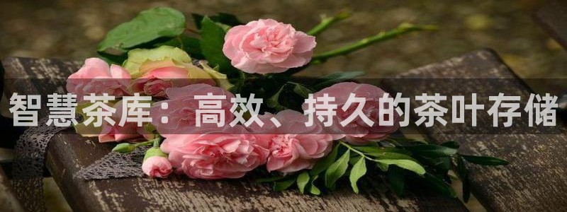 摩登平台视7O777