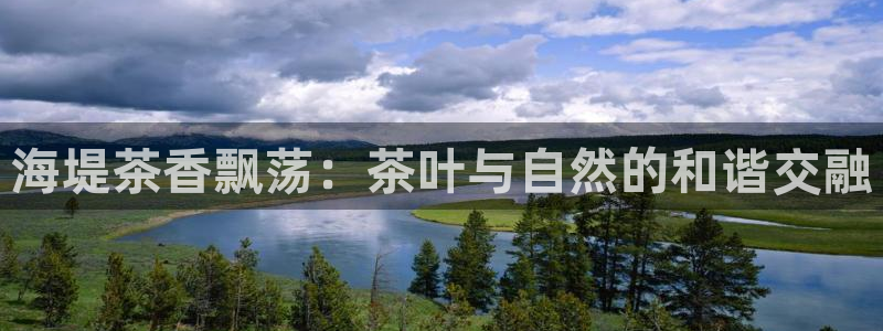 a7s2摩登