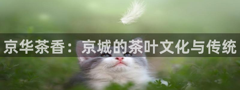 摩登7 1 1