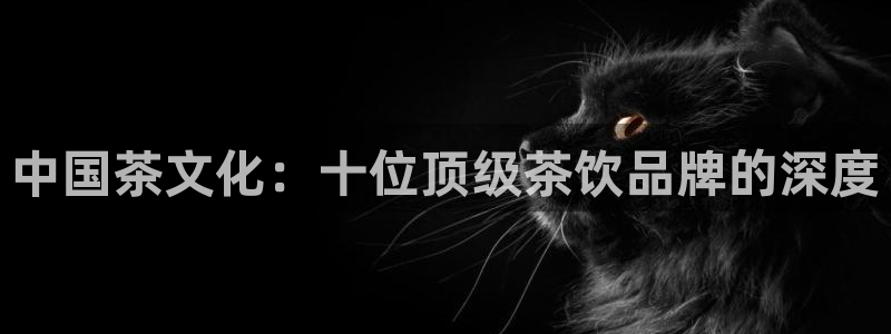 摩登7点