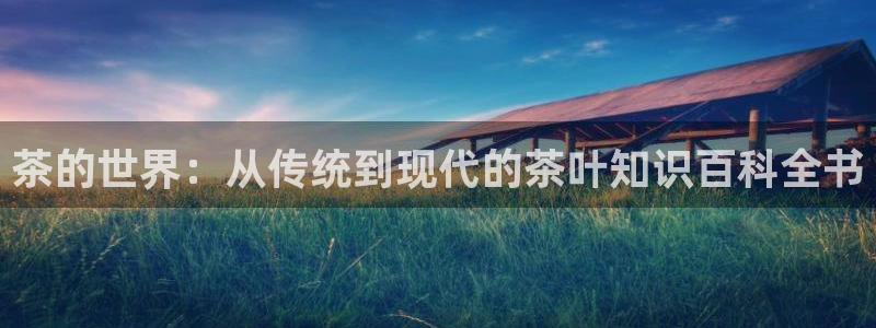 摩登7链接