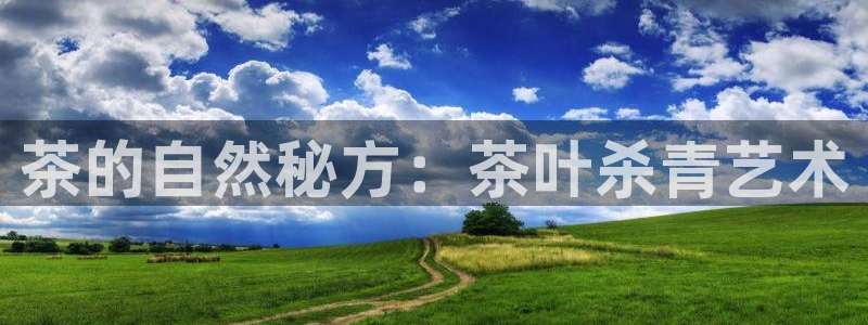 摩登平台视7O777