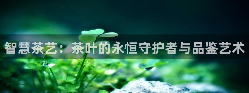 摩登5月7O667
