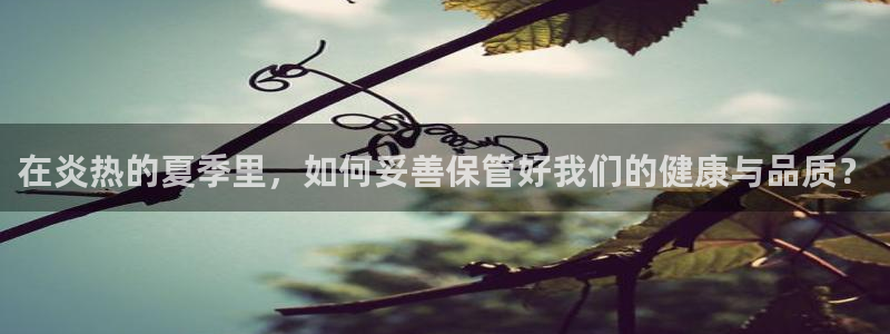 摩登7排名