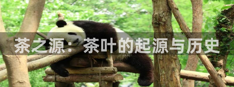 摩登7app官网下载