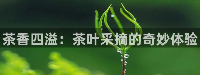 摩登7股东