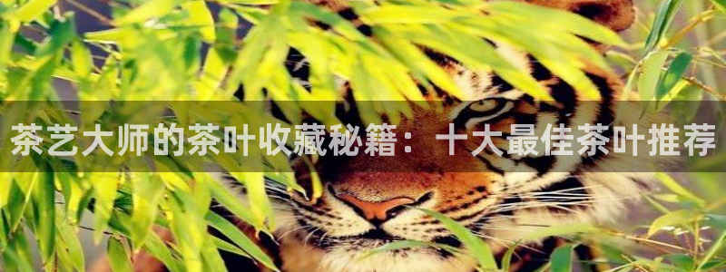 摩登7登陆平台