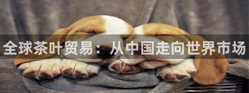 摩登6吕7O667