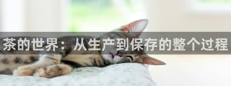 摩登招商尢首选金手指7