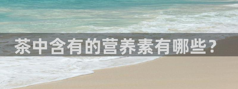 摩登7测速