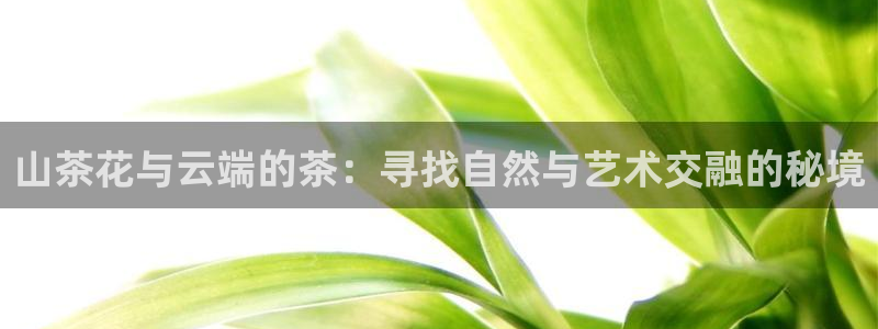 摩登7招商382223