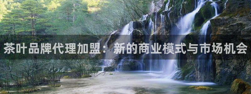 摩登7冠