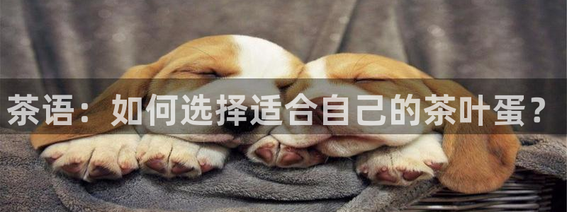 摩登6天7O667