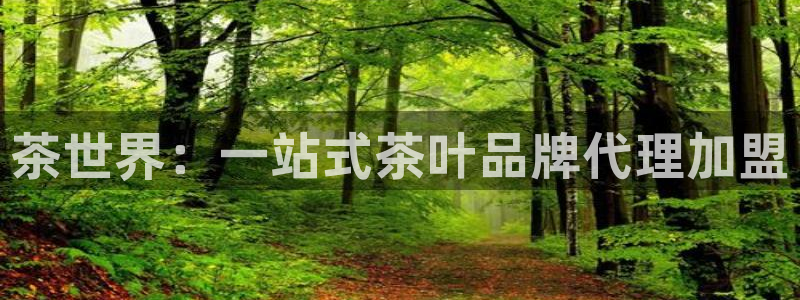 摩登7登陆