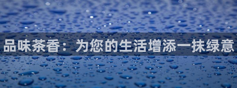 摩登7官网的详细介绍