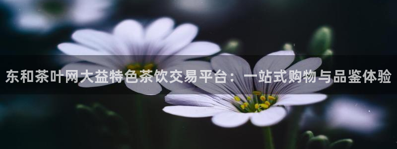摩登7夜判官333OO