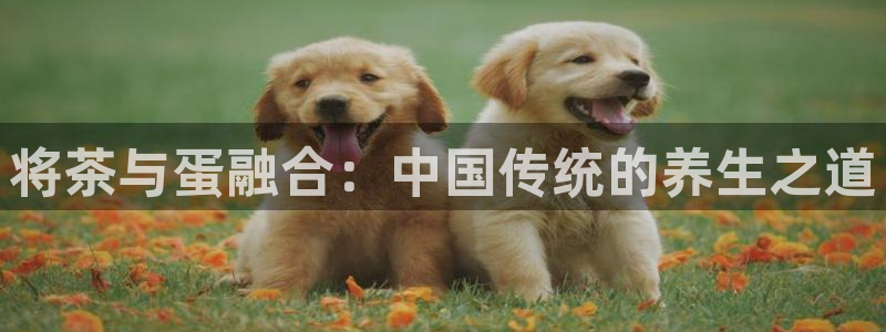 摩登7前3299O7