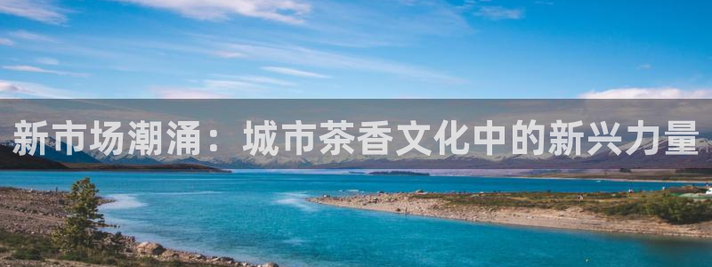 摩登7官网在哪下载