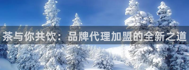 摩登 7
